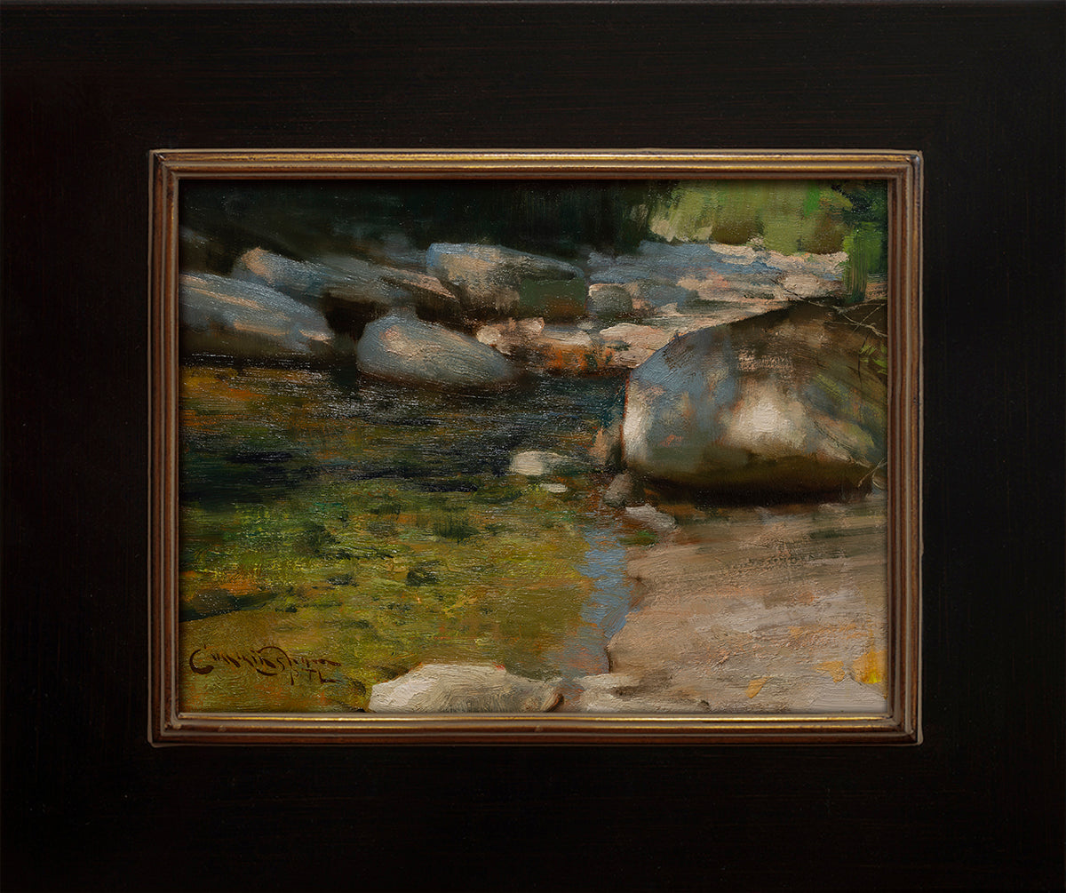 Dappled River