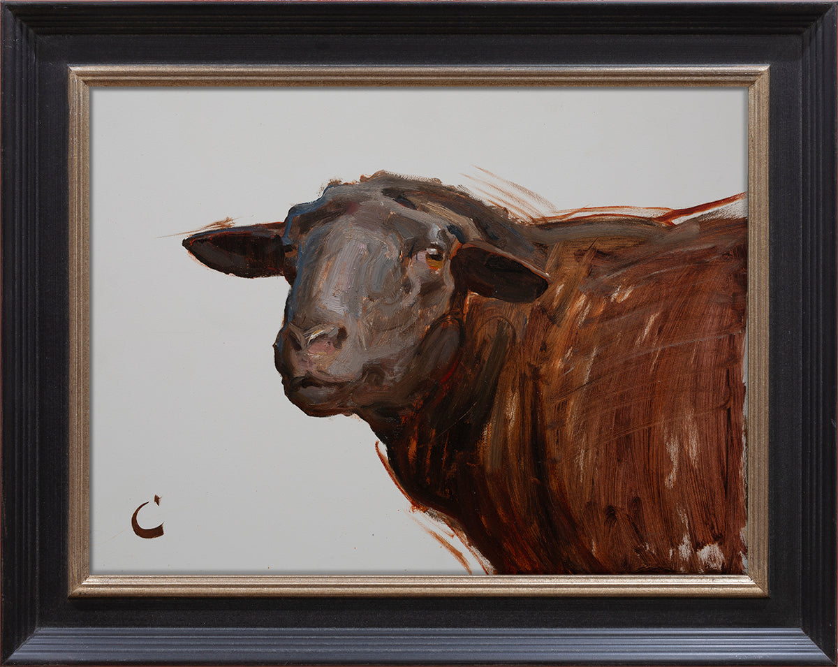Black Sheep