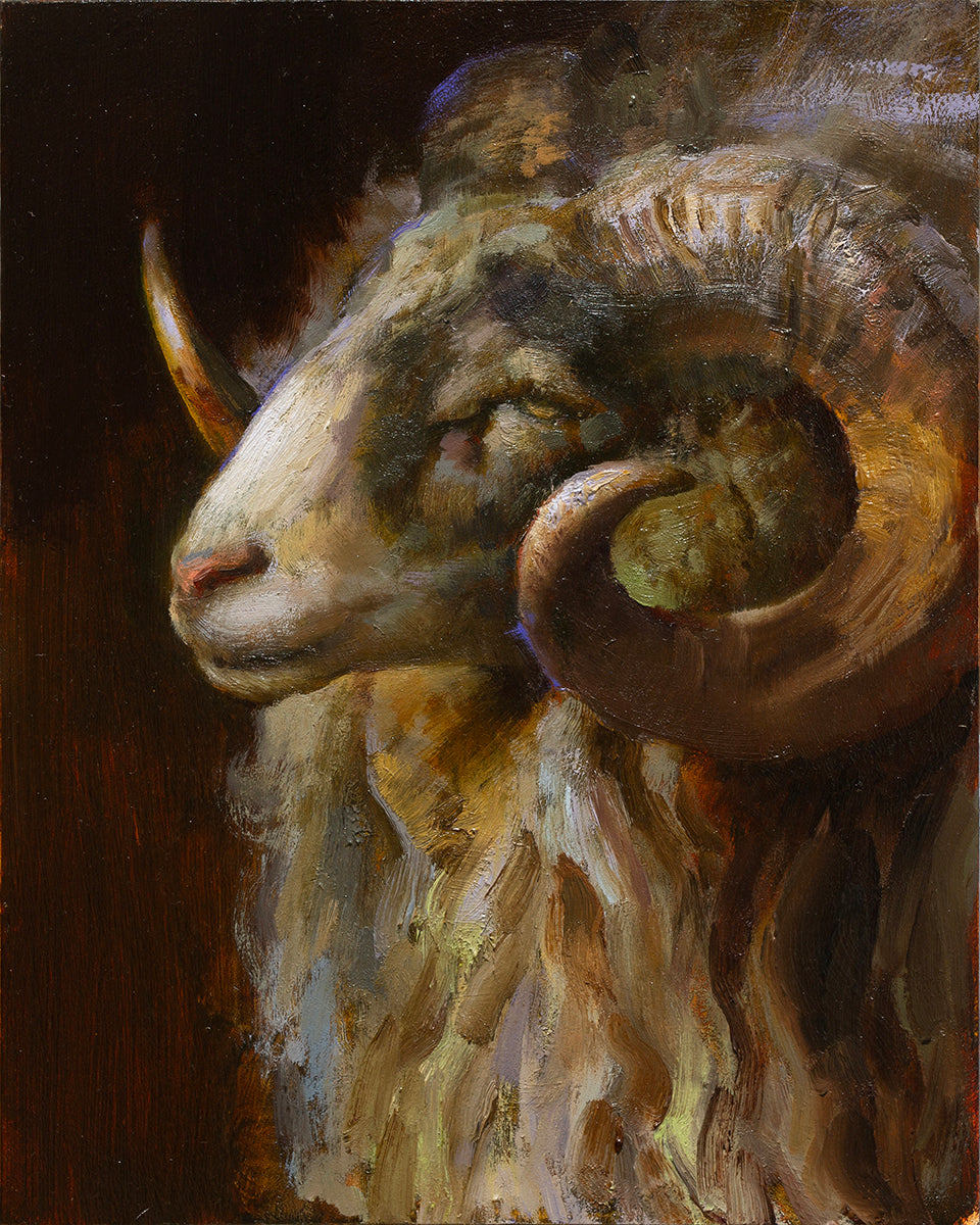 Portrait of a Ram