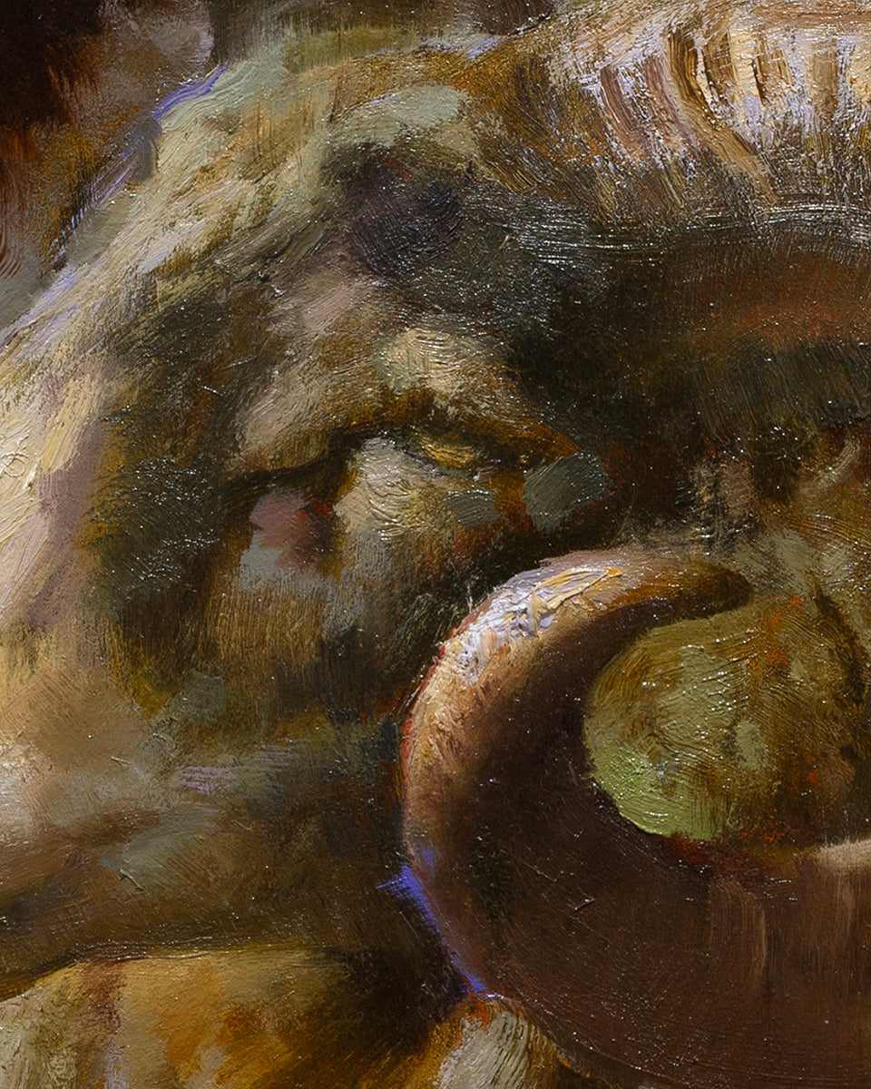 Portrait of a Ram
