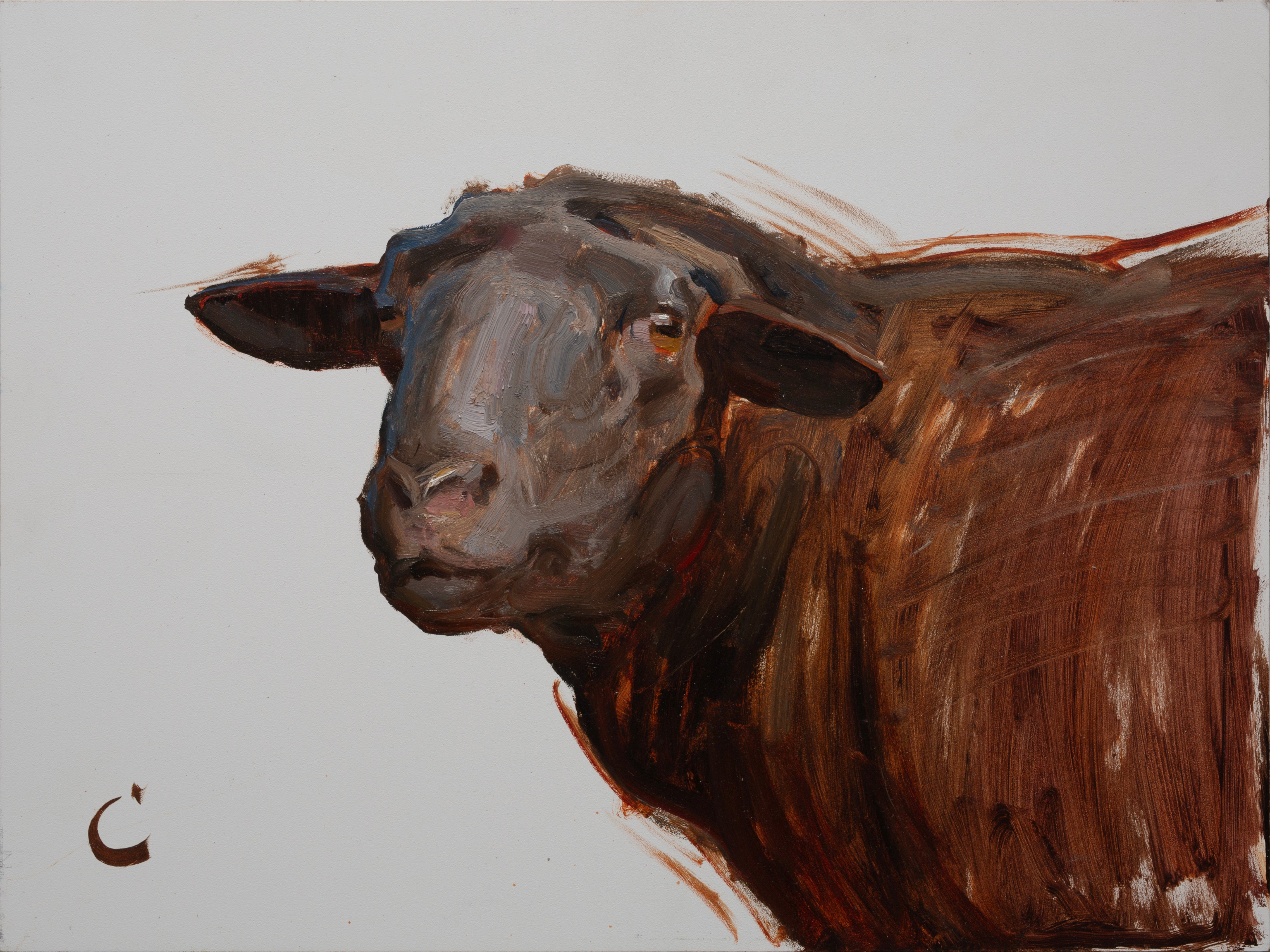 Black Sheep