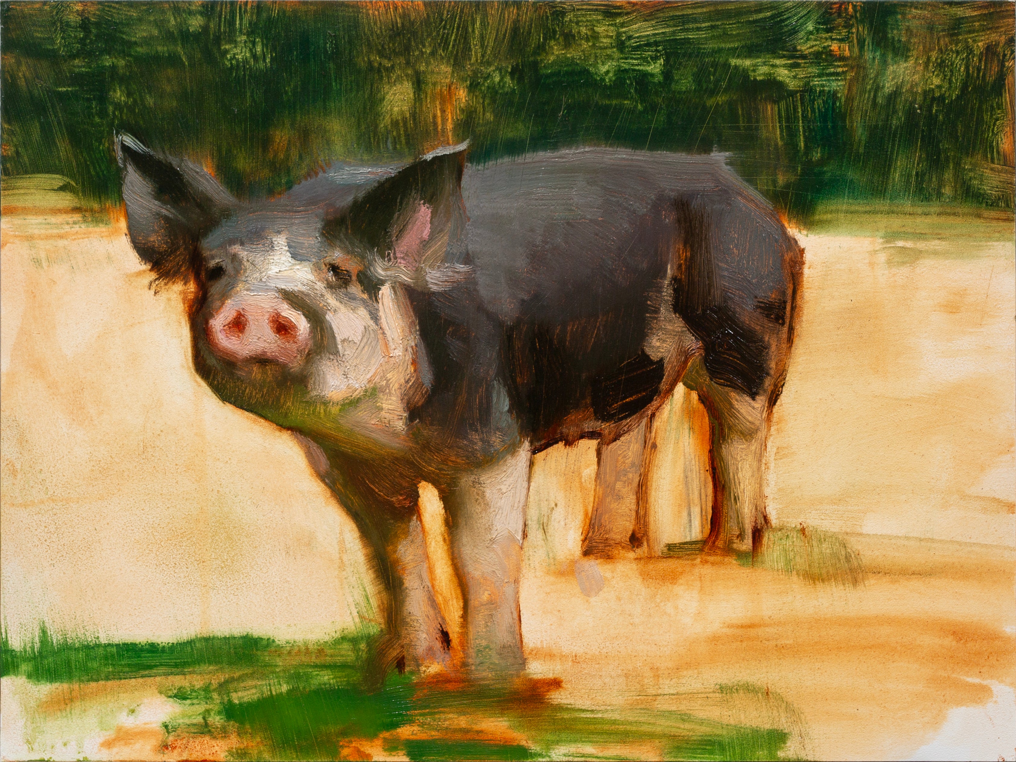 Sketch of Miriam's Pig