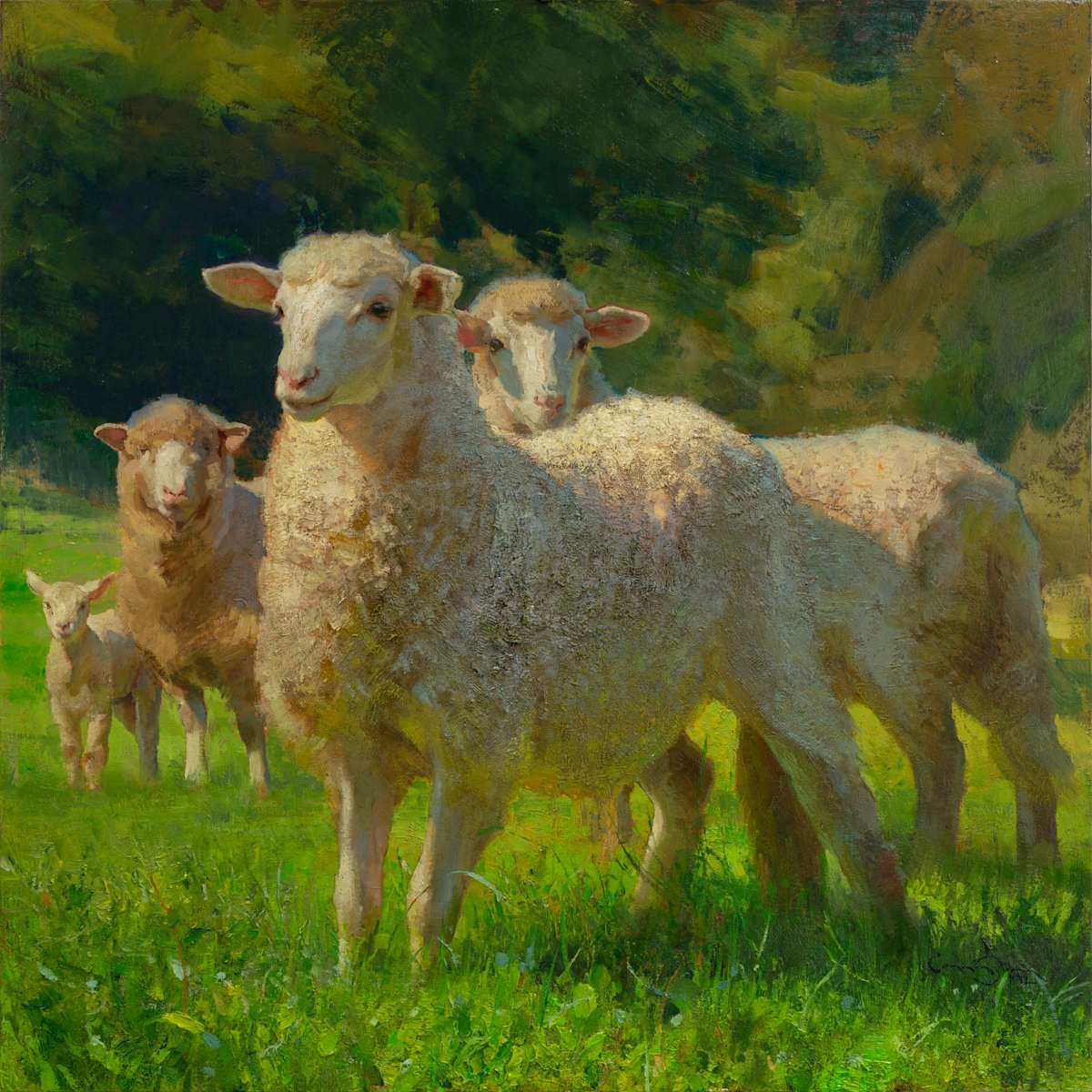 Watching the Shepherd