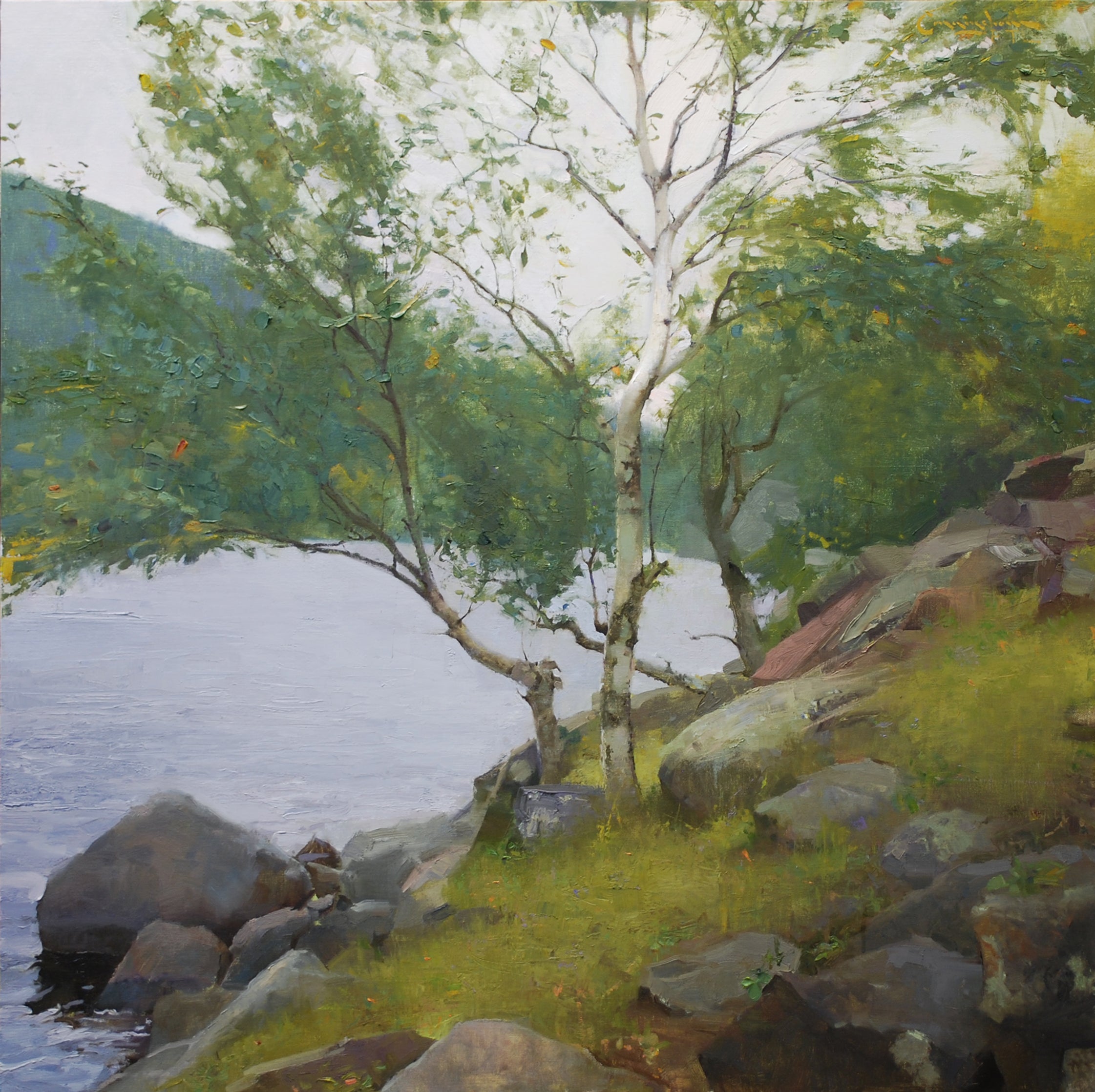 Birch