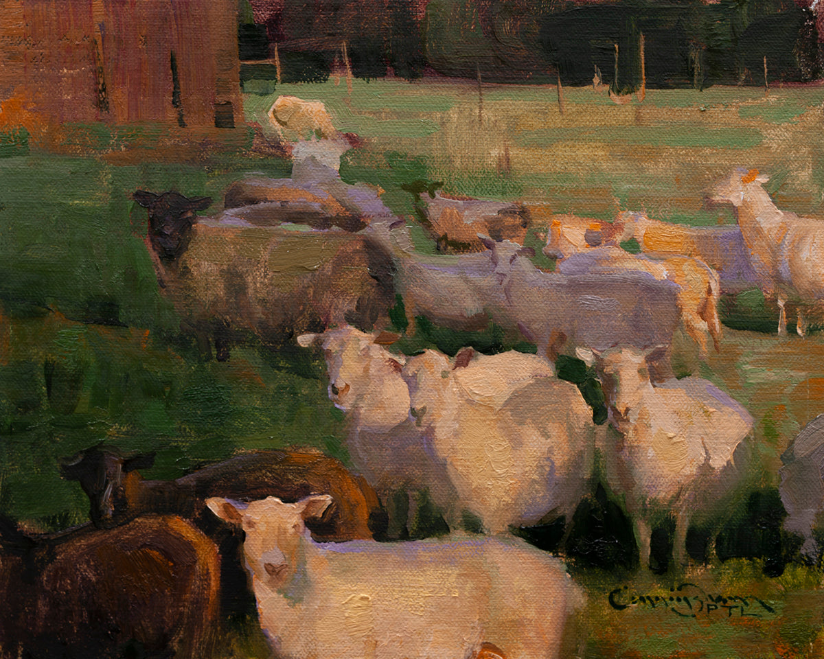 Andover Flock (8x10 inches)