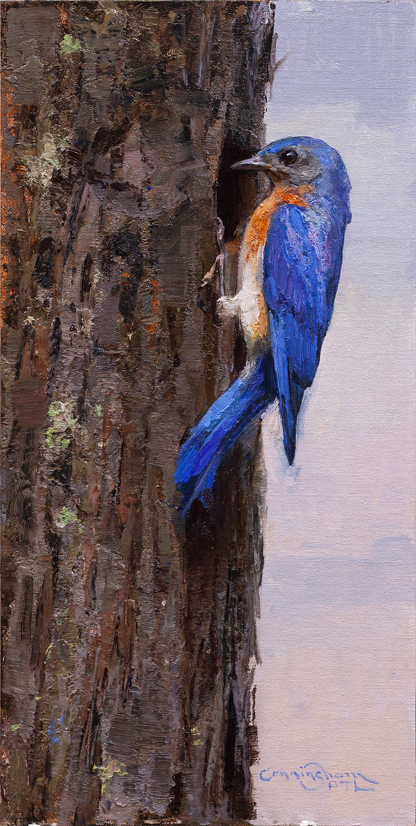 Bluebird's Nest