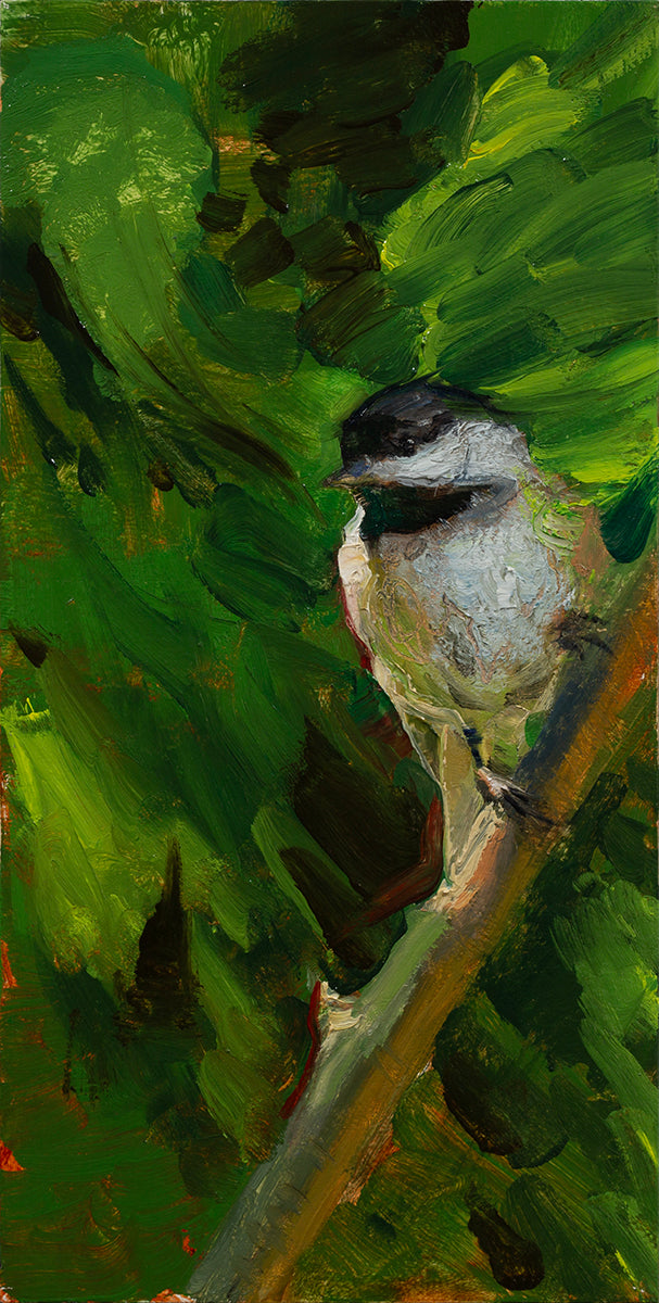 Chickadee