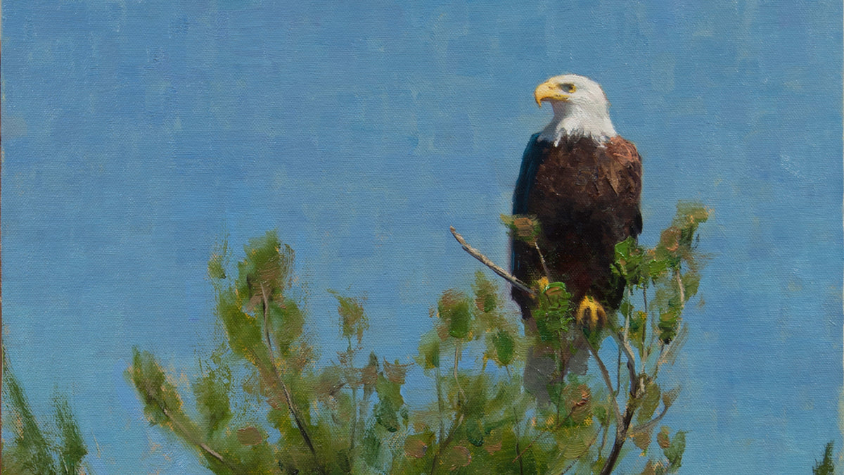 "THE RETURN﻿" Painting an Eagle