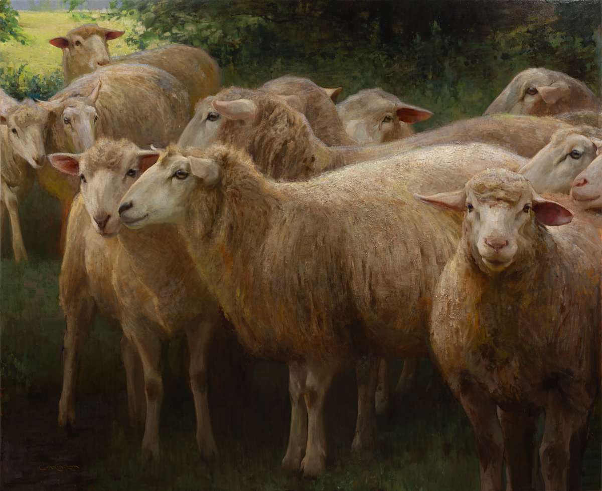Blackberry Flock