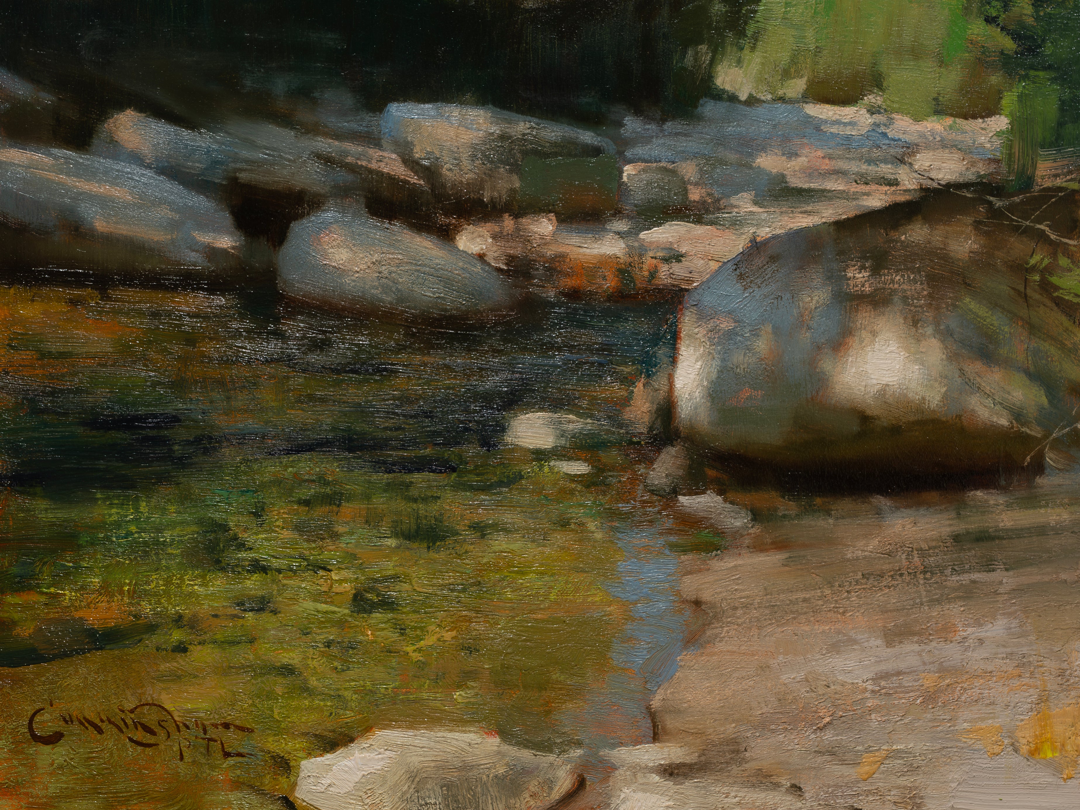 Dappled River