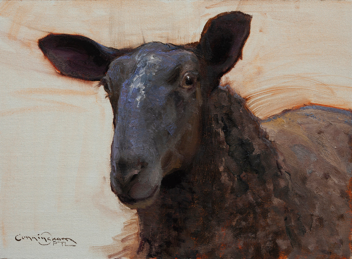 Black Sheep Portrait