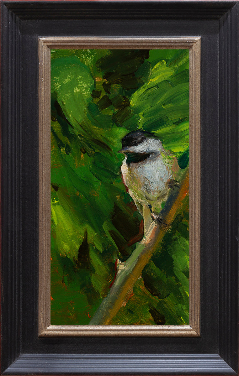 Chickadee