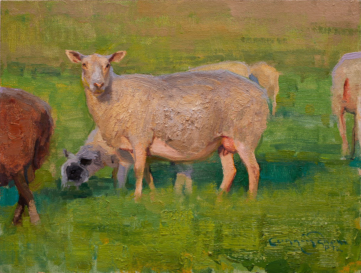 Last Year's Lamb and Ewe