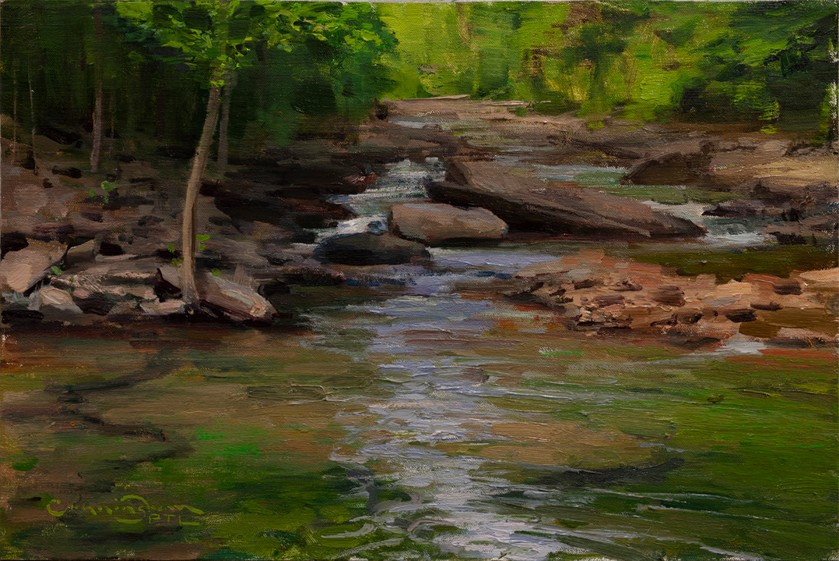 Trout Stream